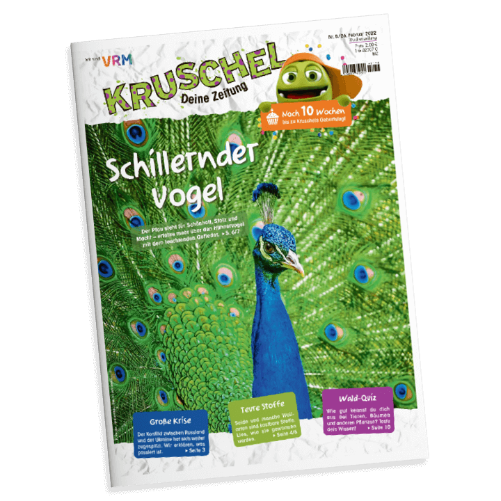 Kruschel